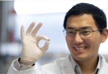 Evolución científica en la medicina: Microrobots guiados por imanes logran administrar fármacos con precisión milimétrica (+ Fotos)