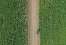 Central azucarero Las Majaguas: Portuguesa fortalece la soberanía alimentaria (+ Detalles)