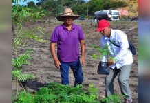 Inició Plan de Reforestación en la principal arteria fluvial de Barquisimeto «Río Turbio» con más de 300 plantas (+ Fotos)