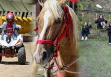 Diversión La Ballesta en la Colonia Tovar: aventura, emoción y momentos inolvidables con la familia y amigos (+ Fotos y Video)