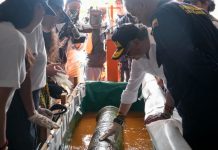 Gobierno colombiano retira del fondo del mar cinco piezas de fragmento del galeón español San José: duraron más de tres siglos en las profundidades (+ Fotos)