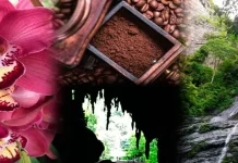 Del emprendimiento al turismo comunitario: Expoferia Flor y Café Caripe 2025 impulsará atractivos de Maturín