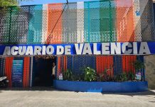 El centro de conservación más grande del país: Zoo Aquarium de Valencia mostrará su biodiversidad en la FITVen 2025