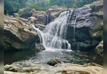 Aventura máxima: descubre Cascada La Manilla, el sendero paradisíaco de aguas cristalinas que se ubica en Carabobo (+ Fotos)