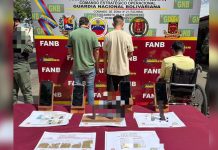 GNB y PNB en operación conjunta, desmantelan grupo delictivÖ «El Tren de la Costa» en Táchira