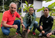 Táchira se viste de verde: Jornada de reforestación deja un legado ecológico con la siembra de un pinolazo (+ Detalles)