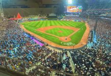 ¡Sábado de béisbol! estos son los juegos para este 01-nov en la LVBP: Leones, Caribes, Tiburones y Cardenales