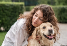 Estudio de la Universidad de Cambridge revela que los golden retriever y los humanos comparten raíces genéticas