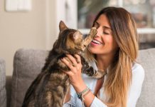 Cómo tu gato te dice «te quiero»: el gesto que podría estar expresándote más cariño del que imaginas, pero aún no sabes cómo reconocerlo