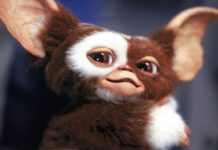 Vuelven los mønstruos: Warner Bros. Discovery confirmó que Gremlins 3 llegará a los cines durante el 2027