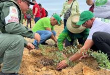 Siembran más de 32 mil árboles en jornada nacional de reforestación mientras la minería ilegäl avanza en la Amazonía