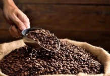 Cosecha extraordinaria: Gobierno Nacional prevé incremento de 40% de la producción nacional de café