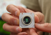 Científicos sugieren que el cerebro humano podría estar “preconfigurado” con instrucciones genéticas desde el nacimiento