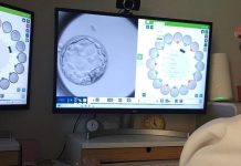 Científicos logran un embarazo con un método que recupera la espermä con Inteligencia Artificial (+ Detalles)