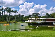 Parque del Este en Caracas: un refugio de naturaleza, cultura y recreación que cautiva en el corazón de la capital venezolana (+ Fotos)