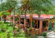 Posada Agroturística Cachapuá: la experiencia de sentirse como en casa en Ocumare de la Costa (+ Fotos)