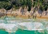 Choroní se reafirma como el destino paradisíaco de Aragua que conecta selva tropical y playas del Caribe