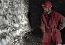 Una telaraña de cien metros cuadrados alberga una colonia de más de 111 mil arañas (+ Video)