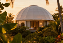 Playa, cacao y naturaleza: Coco Esmeralda Glamping ofrece un escape de eco-lujo y agroturismo en Higuerote (+ Fotos)