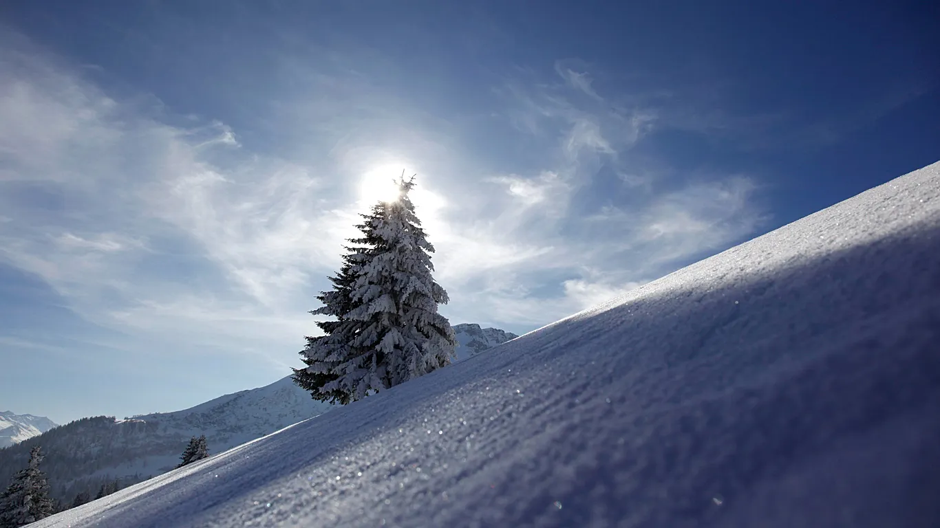Tres montañeros vascos muêrtôs y una mujer herïda tras ser arrâstrados por un fuerte corrimiento de nieve cerca de Panticosa en el norte de España