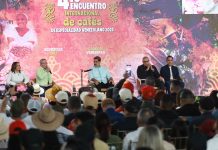 Jefe de Estado aseguró que en Venezuela se ha producido más de 216 millones de kilos de café este 2025: «Un incremento del 55%»