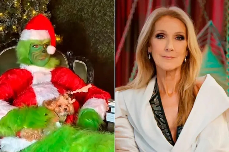 ¡Céline Dion se röba la Navidad! La cantante sorprende al mundo disfrazada de «El Grinch» y parodiando su propia agenda