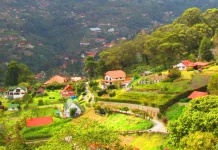 Aragua recibió la validación de 8 rutas turísticas y consolidó su marca del cacao de Chuao en la FITVen 2025