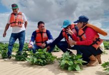 Jornada de inspección del Plan de Siembra Norte-Verano 2025 en las riberas del Orinoco, Anzoátegui (+ Detalles)