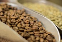 Montañas de Petare se convertirán en zona cafetalera con plantas provenientes de Boconó y Biscucuy (+ Detalles)