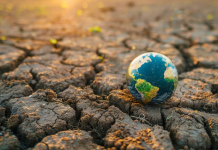 Casi 30 mil especies podrían desaparecer por olas de calor y deforestación para dos mil 100 (+ Detalles)