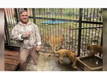 Visita inesperada del Fiscal General Tarek William Saab a leones bebé en la ciudad de Mérida (+ Fotos y Video)