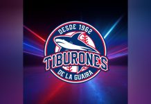 Tiburones de La Guaira regalaron una tarde diferente a sus fanáticos: más de 5.000 niños y adultos disfrutaron de un juego completamente gratuito (+ Detalles)