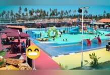 Vive una aventura jurásica estas fiestas en Dinopark Jurásico: el parque temático que todo viajero debe conocer en Falcón (+ Detalles)