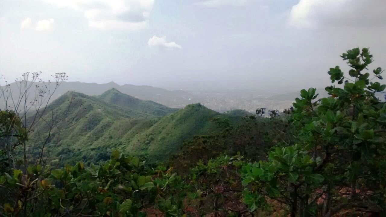 Belleza natural en el corazón de Valencia «Cerro El Casupo»: parque urbano que combina montaña, ríos, flora, fauna y la práctica deportiva (+ Fotos)