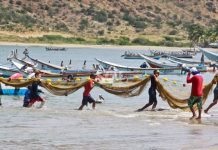 Nueva Esparta destina 40 mil dólares para la dotación de motores y el rescate de la flota pesquera artesanal