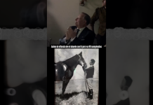 ¡El regalo más conmovedor! Nieto recreó la vida su abuelo gracias a la ayuda de la IA (+ Video)