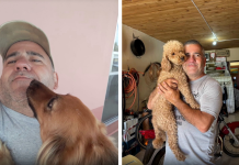 Viral en redes: Un técnico de aires acondicionados se toma un selfie con los perros de sus clientes (+ Fotos)