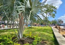 Ciudad humana y moderna: Alcaldía de Maturín prioriza el rescate de espacios públicos y la convivencia ciudadana (+ Fotos)