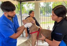 Misión Nevado celebra el Día de los Derechos Animales con jornada integral gratuita en la Gobernación de Anzoátegui
