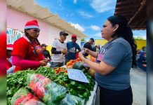 Plan de Amor y Prosperidad Alimentaria benefició a más de 1600 familias en Urumaco, Falcón, con 15,7 toneladas de alimentos