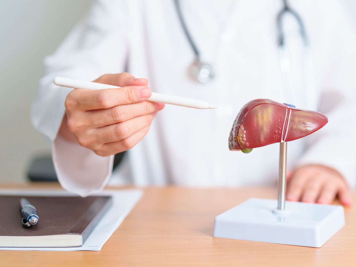 Identifican un mecanismo clave para reducir el daño del hígado en la cirrøsis: controlar la infląmación hepática desde su origen