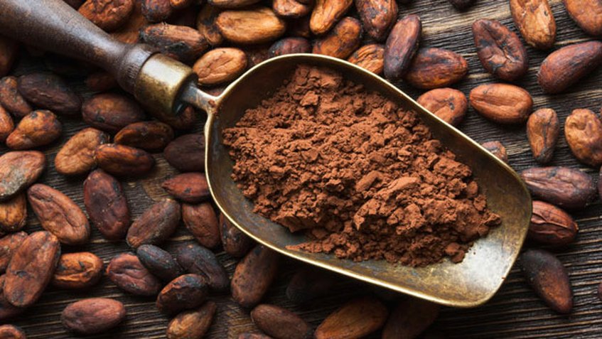 El cacao venezolano conquista Moscú: 200 toneladas cierran el ciclo de exportaciones para 2025
