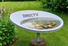 Cómo transformar una antena parabólica en un tesoro de jardín: bebedero para aves y decoración sostenible