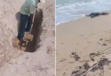 Hallazgo de cuęrpos en La Guajira genera alërtå y llamado a investigaciones en Colombia