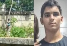 Tragędia en Brasil: joven con esquizofręnia muęrę al entrar en la jaula de una leona persiguiendo su sueño de ser domador (+ Video)