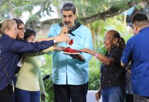 Venezuela anuncia plan ecosocialista para sembrar diez millones de árboles en 2026 como parte de su compromiso con la naturaleza