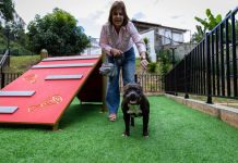 Reabren parque pet friendly en Baruta con espacios recreativos y áreas de entrenamiento para mascotas