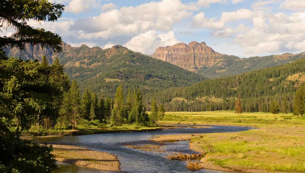 El primer Parque Nacional del mundo: con 9.000 km es cuna del movimiento de conservación a nivel global
