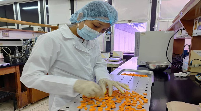 Ciencia al servicio de la salud: investigadores venezolanos desarrollan barra prebiótica con alto valor nutricional (+ Detalles)