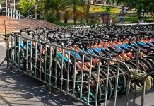 Experiencia de calidad en Carabobo: Parque Draculandia cuenta con nuevo servicio de bicicletas para disfrute de visitantes (+ Fotos)